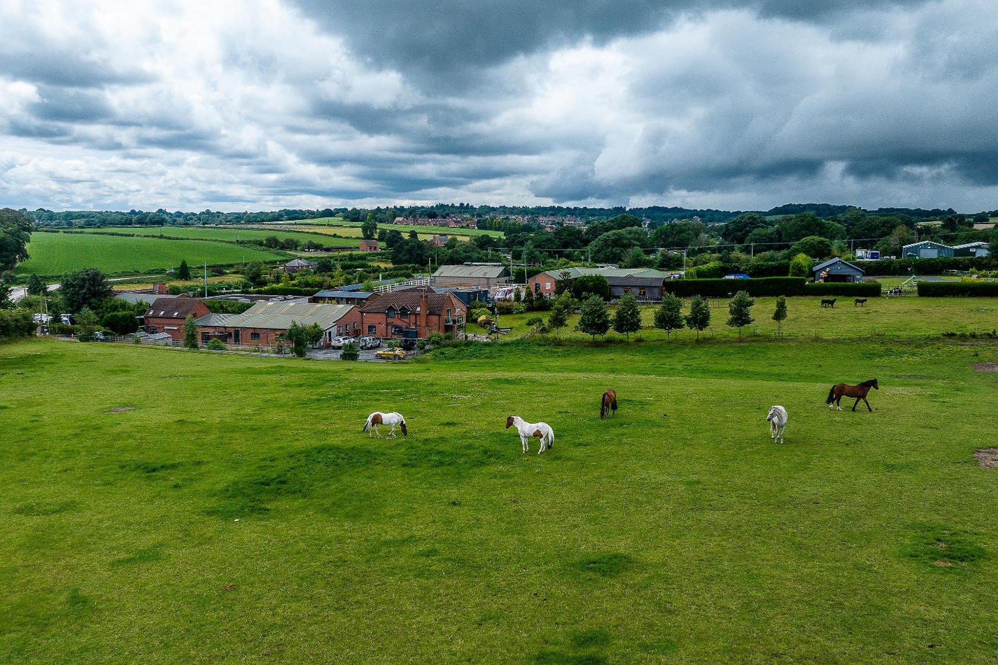 Fairview Farm Holiday Accommodation 14 Luxury Lodges, Cabins, Dog Friendly, Suitable For Couples, Families And Groups, Wedding Guests , Corporate Events, Sleeps 2-65 Guests In Ravenshead, Nottingham Near Sherwood Forest, Set In 88 Acres エクステリア 写真
